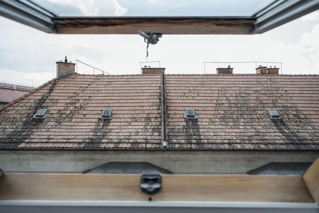 Sunny&cozy Loft Appartamento